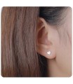 Heart Silver Stud Earrings STS-2797